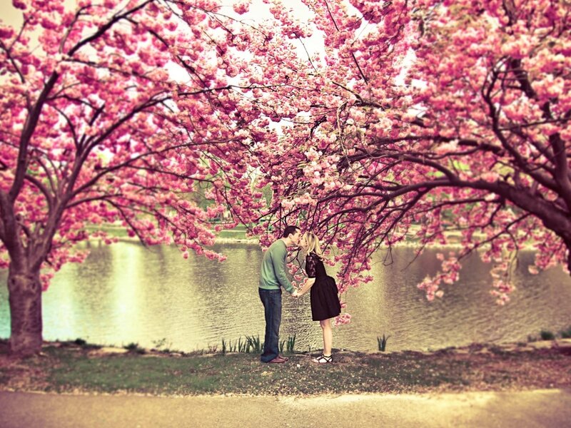 Couple Kissing under Tree — Pink, Romantic