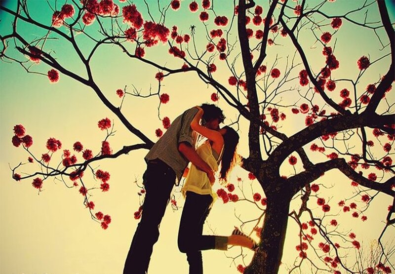 Couple Kissing under Tree — Red