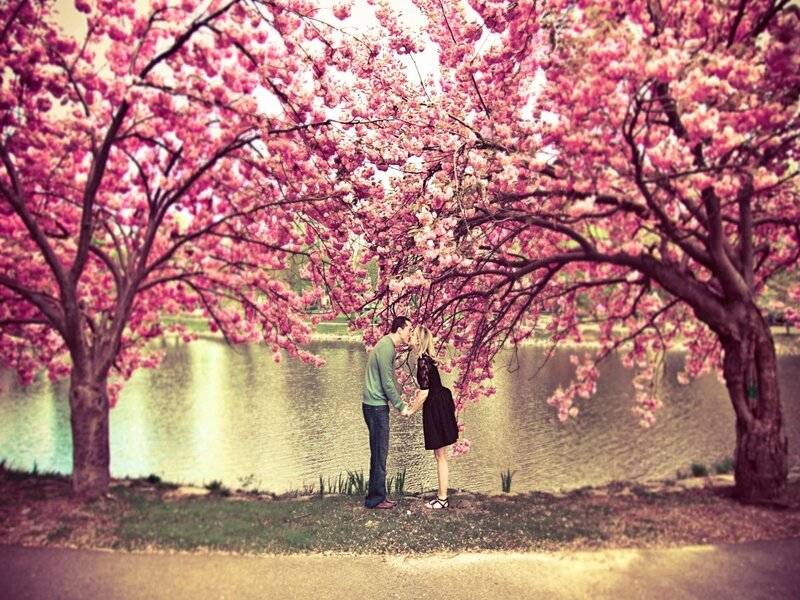 Couple Kissing under Trees — Pink, Romantic, Spring