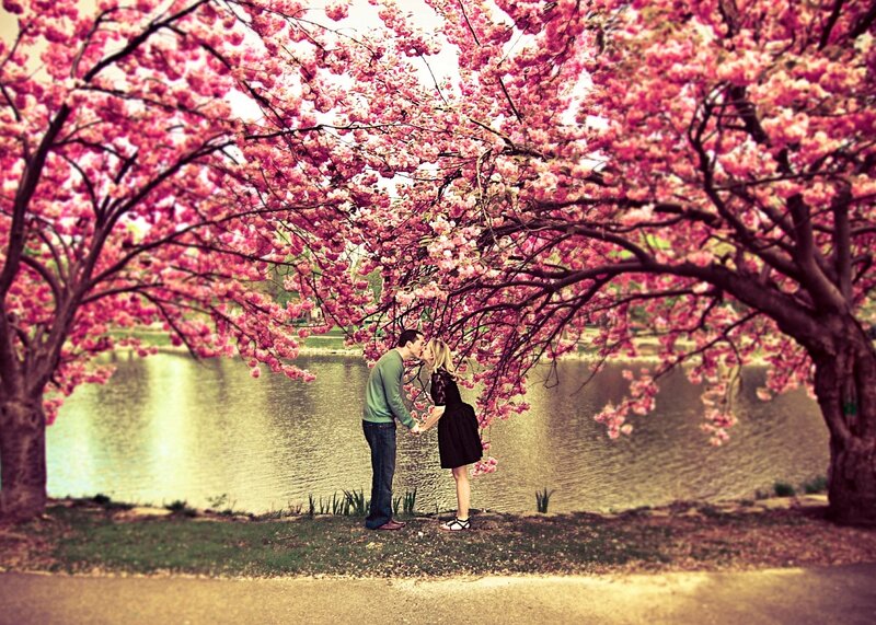 Couple Kissing under Trees — Pink