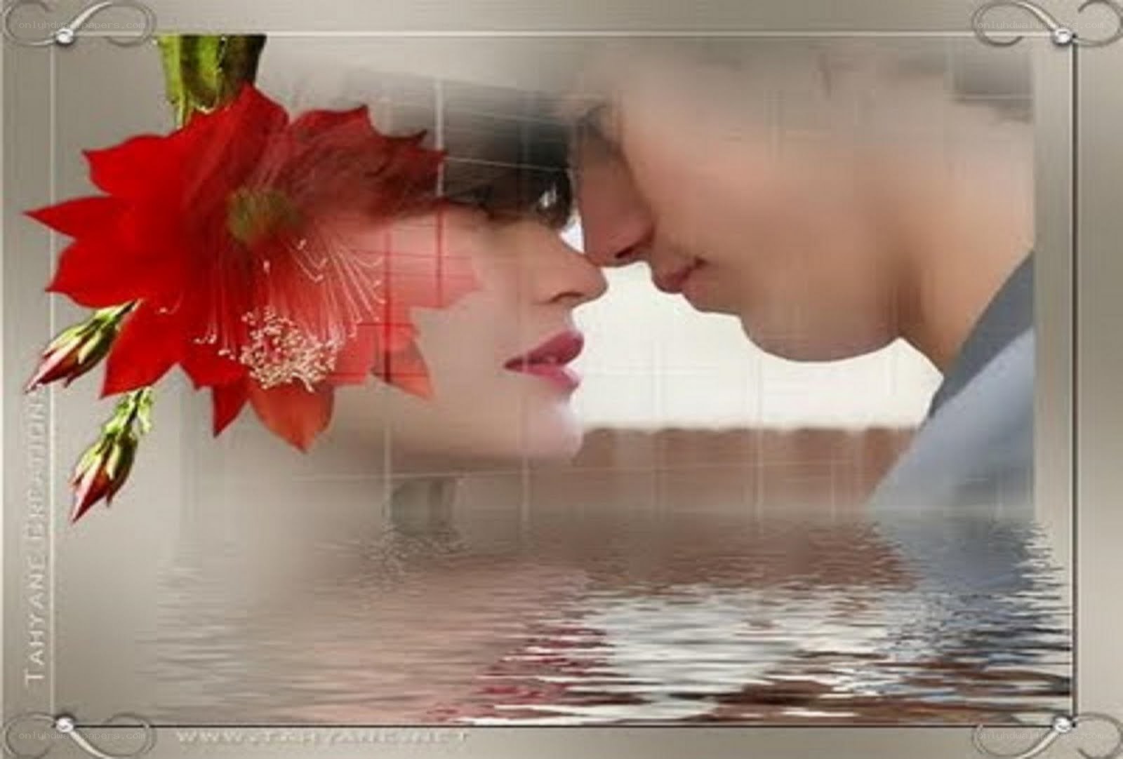 Couple kissing with red flower