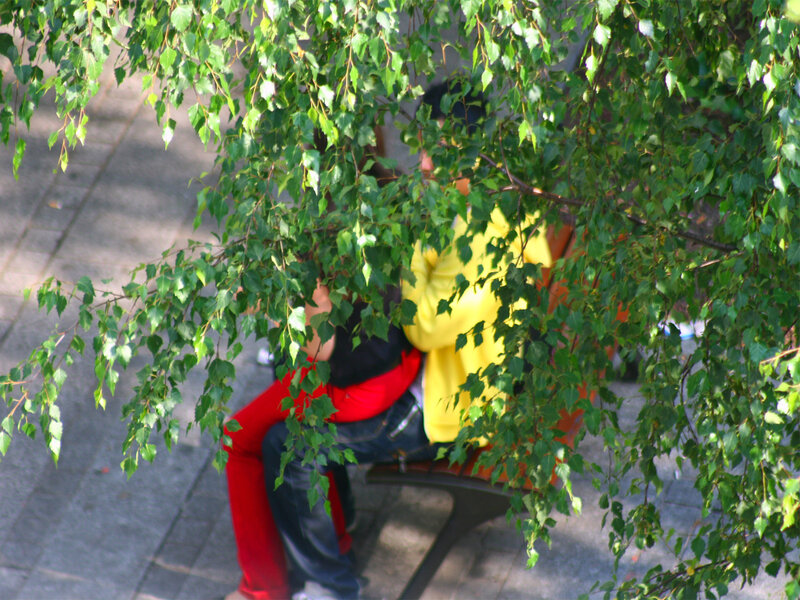 Couple on a bench under trees