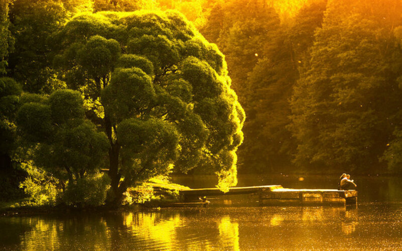 Couple on a Dock — Yellow