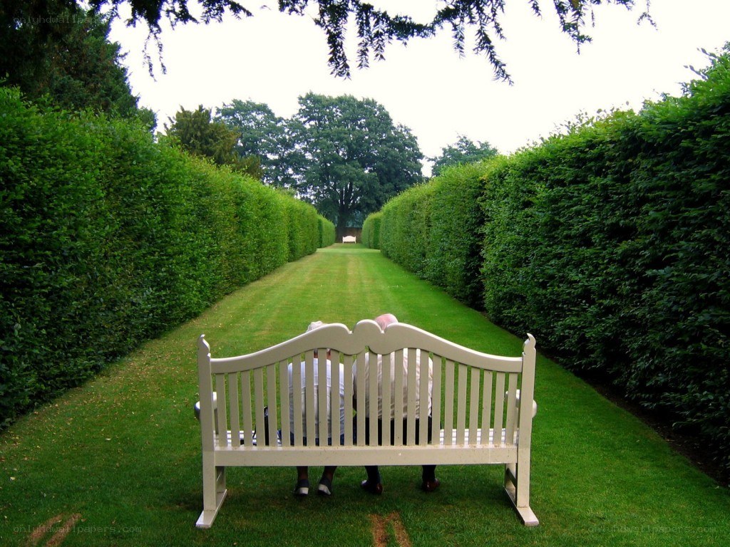 Couple on a garden bench