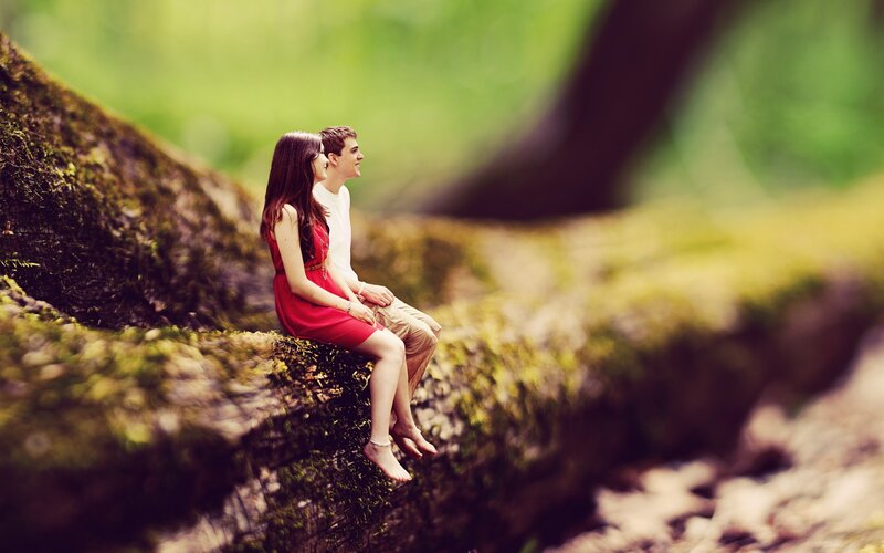 Couple on a mossy log