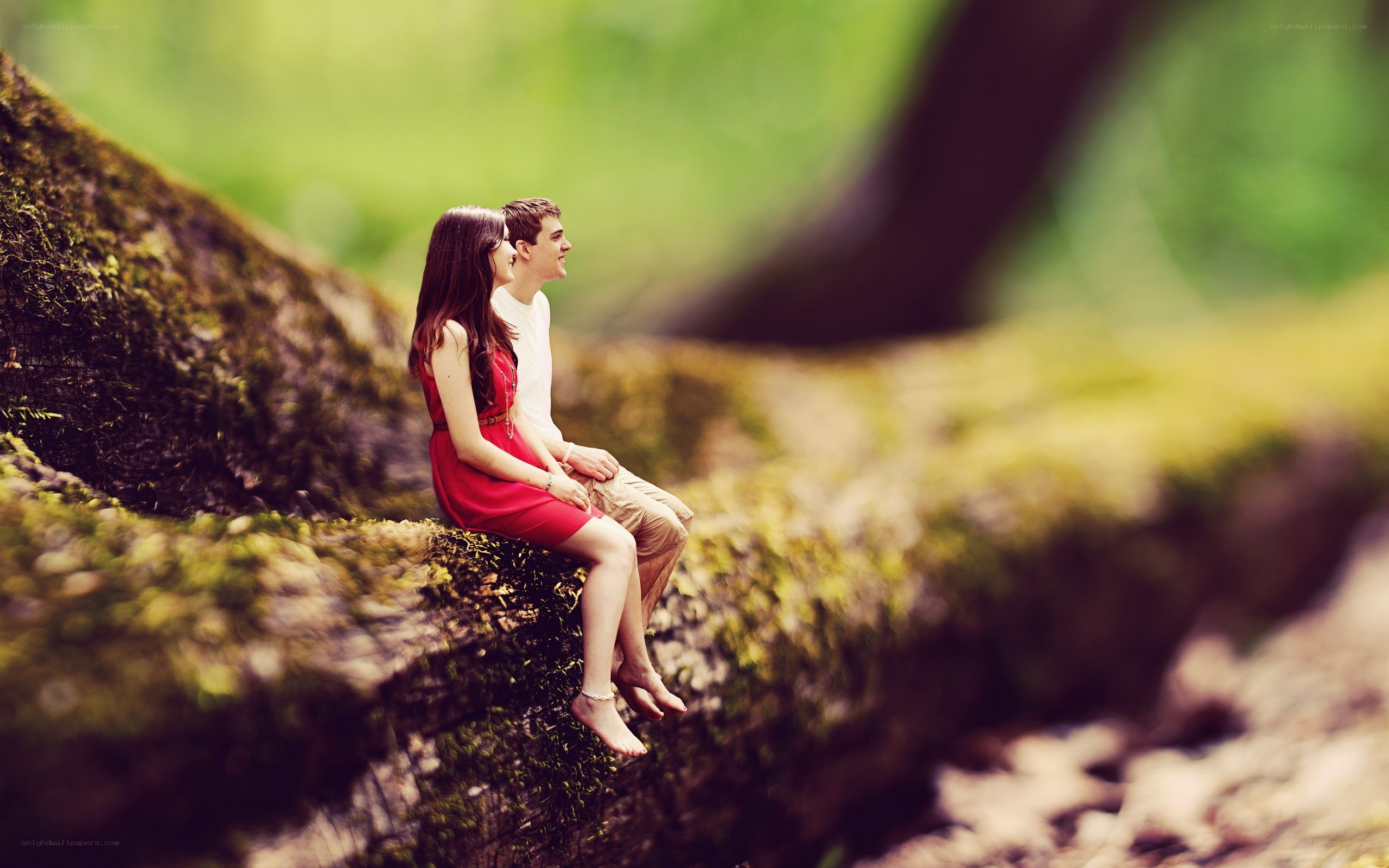 Couple on a mossy log