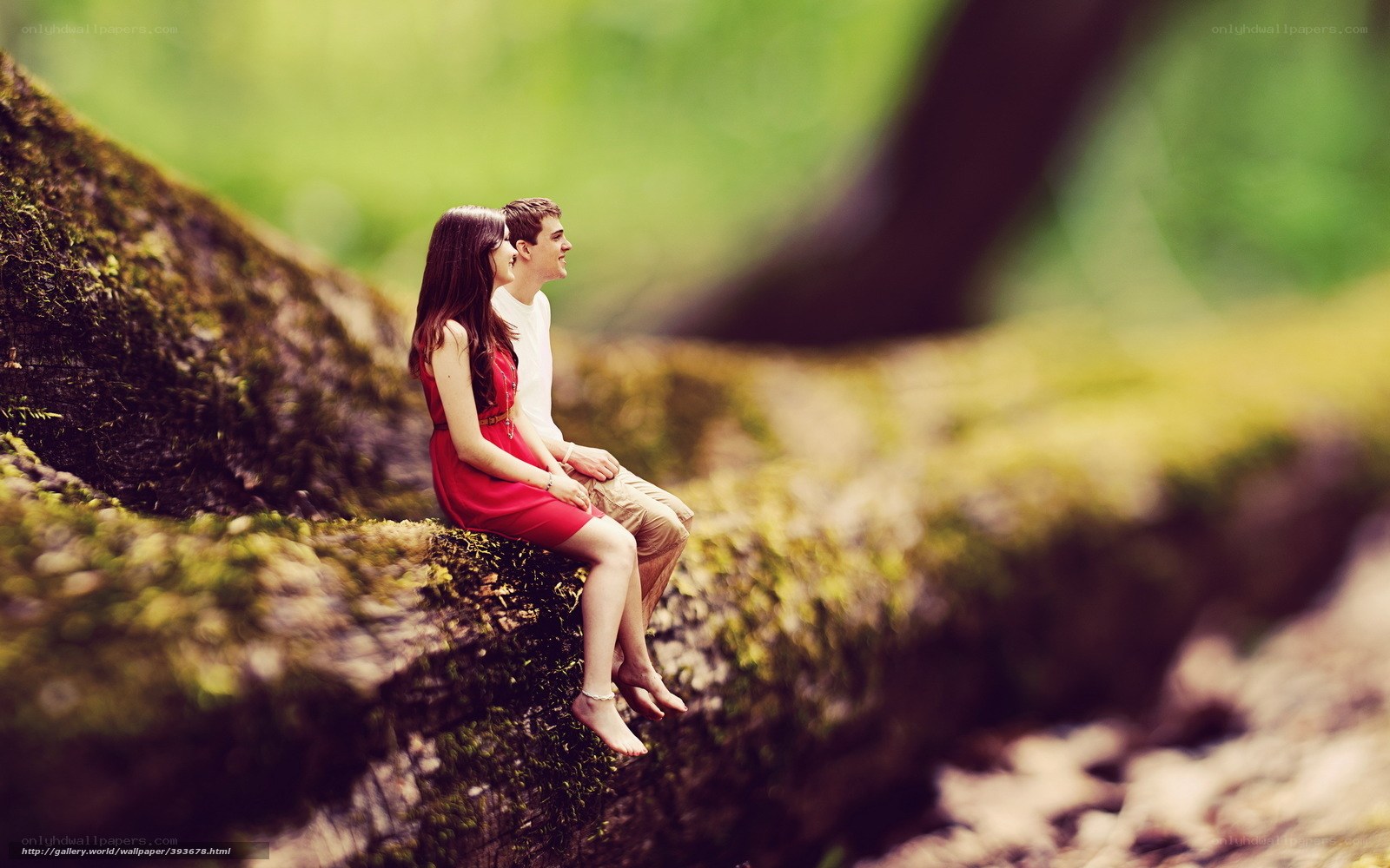 Couple on a mossy log