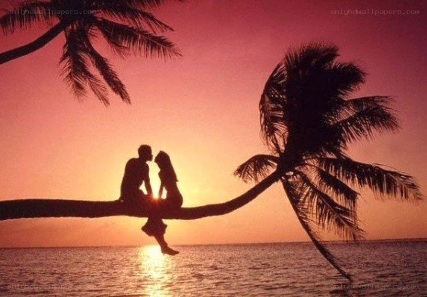 Couple on a palm tree at sunset