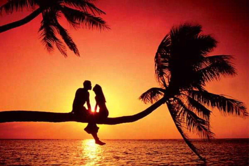 Couple on a palm tree at sunset