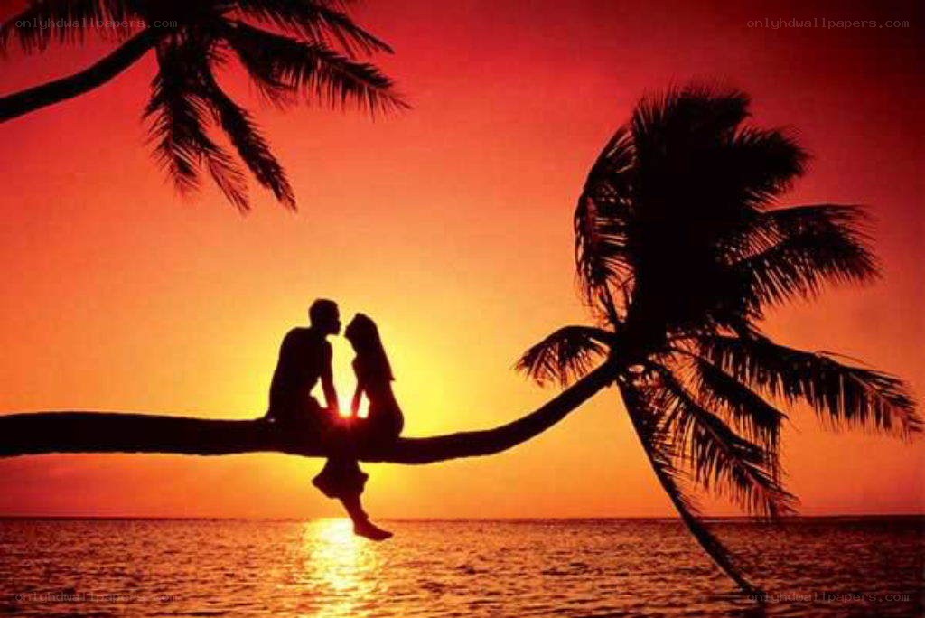 Couple on a palm tree at sunset