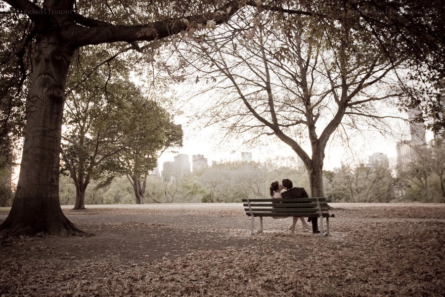 Couple on a park bench
