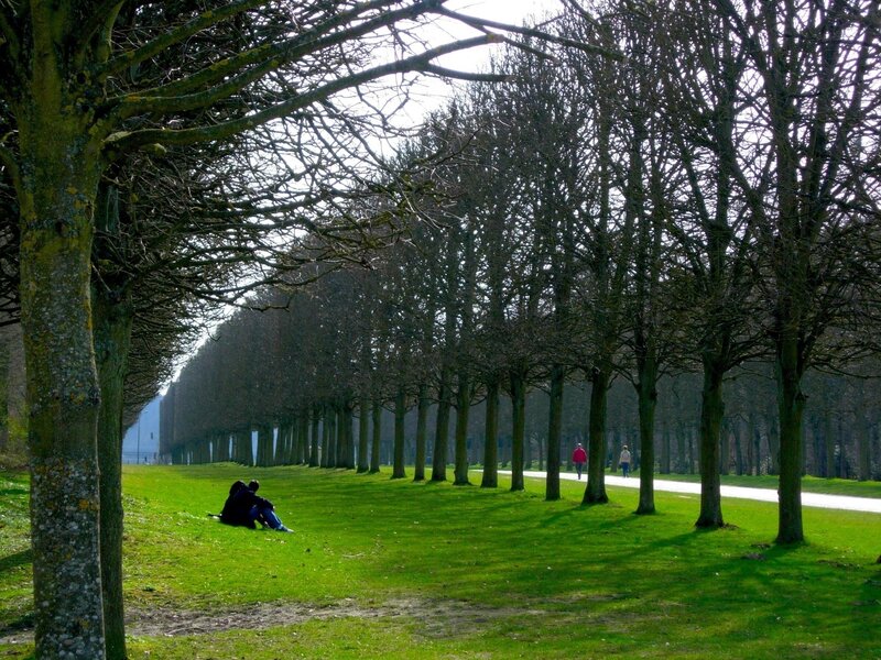 Couple on a park lawn