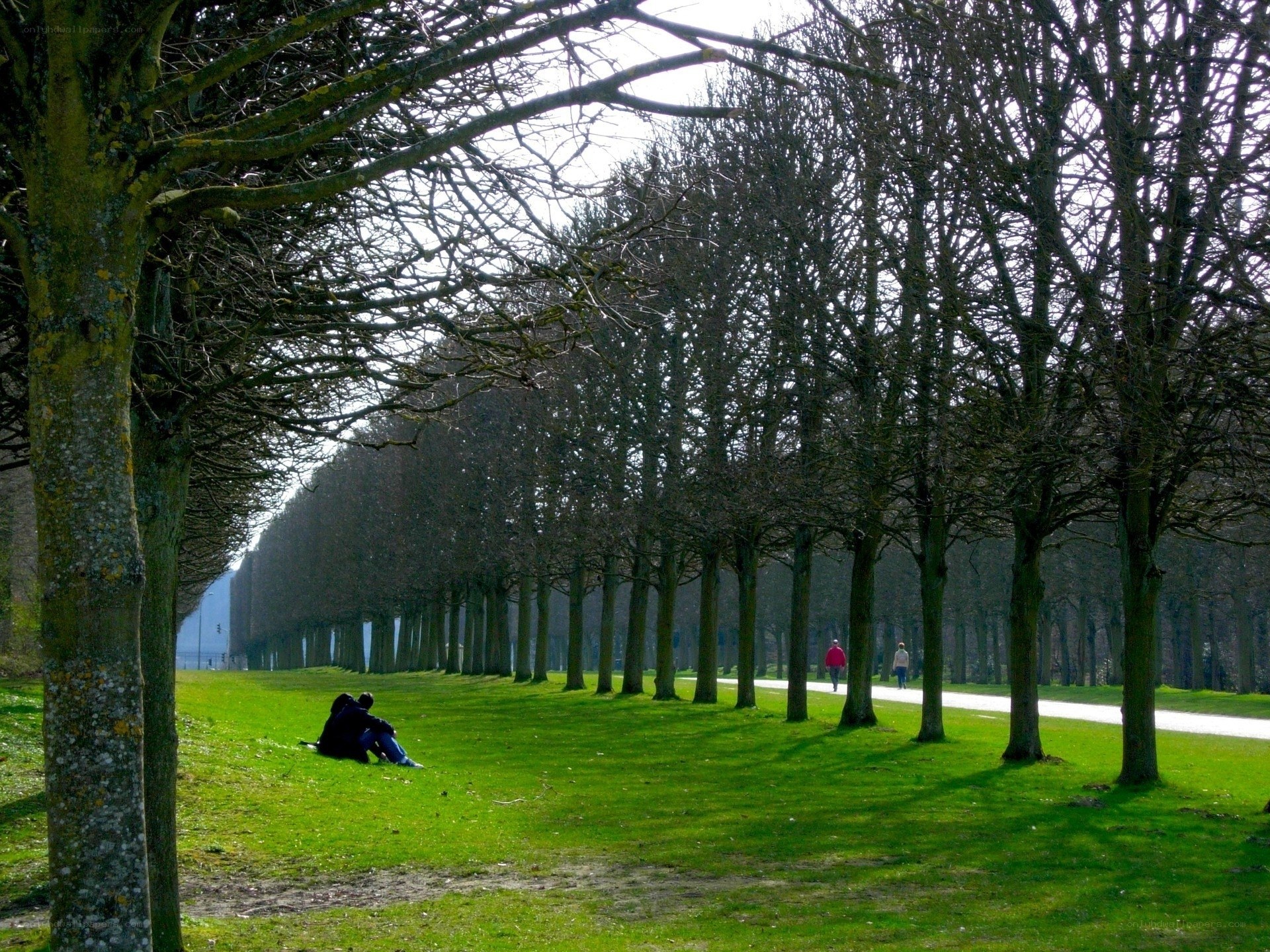Couple on a park lawn