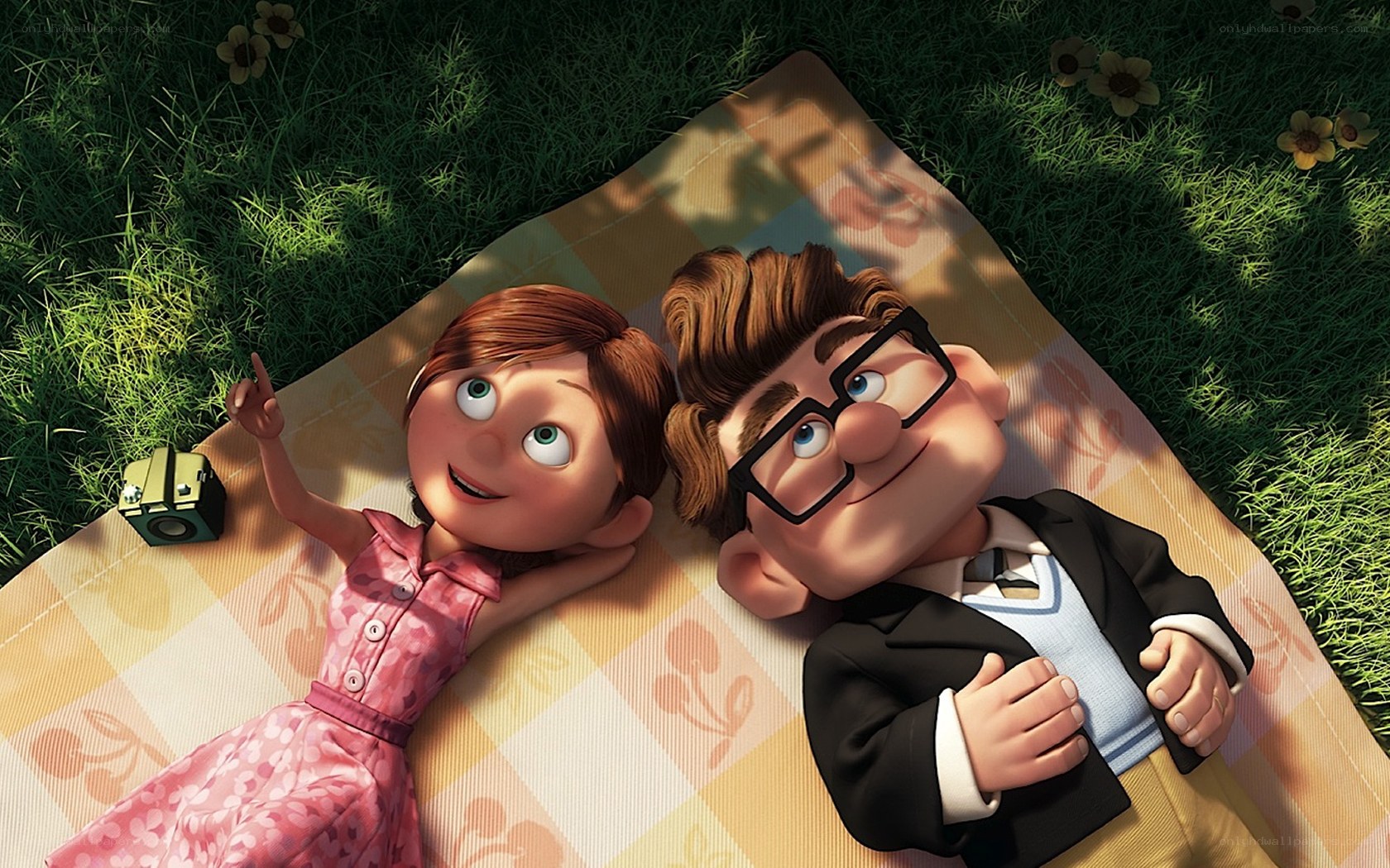 Couple on a picnic blanket