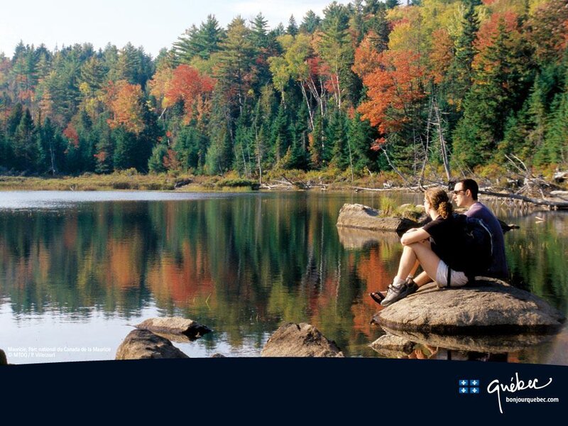 Couple on a Rock — Green