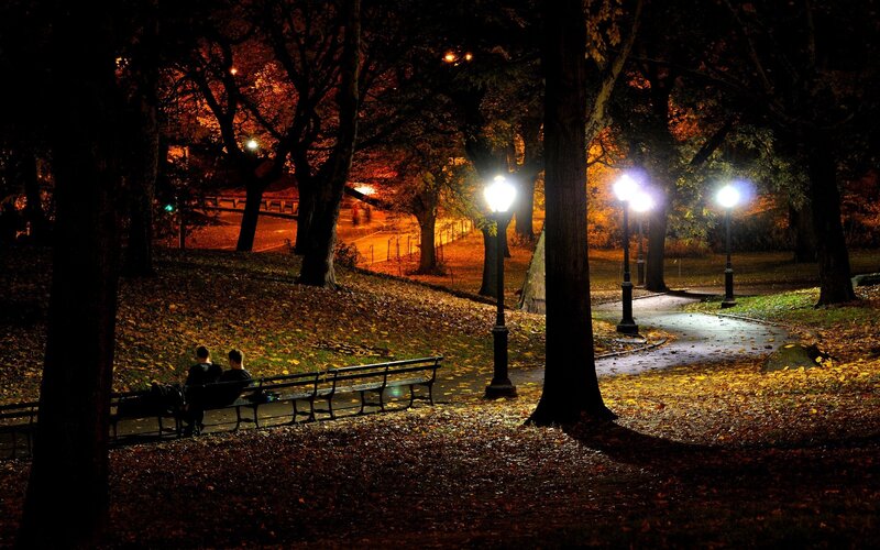 Couple on bench at night in park