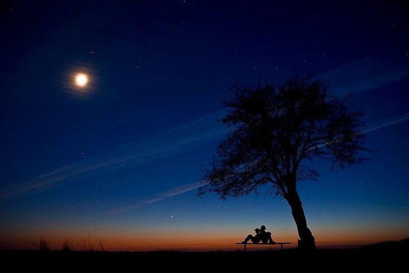 Couple on Bench — Blue, Serene