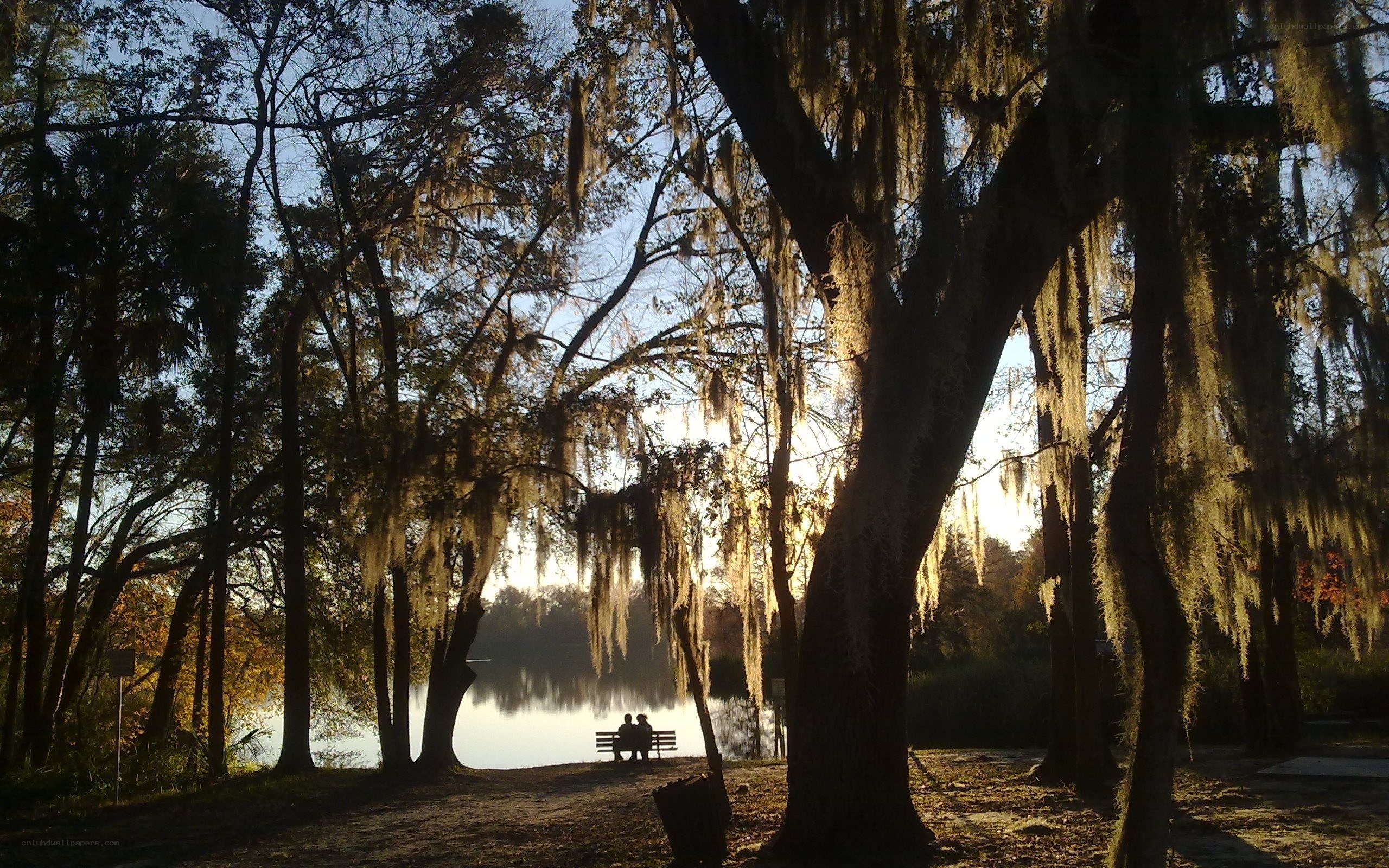 Couple on bench by lake at sunset