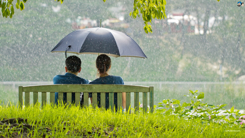 Couple on Bench — Green, Calm