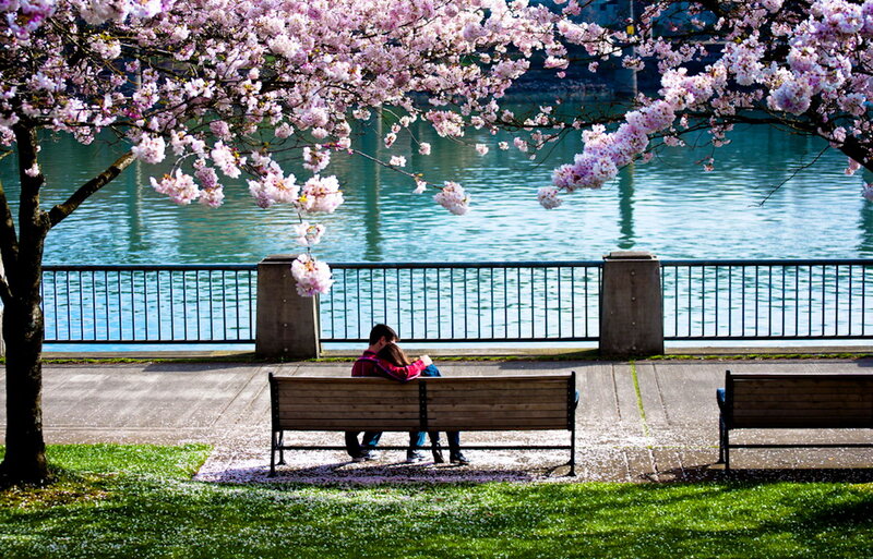 Couple on Bench — Green, Serene, Spring