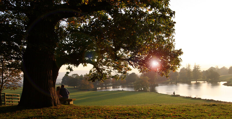 Couple on Bench under Tree — Green