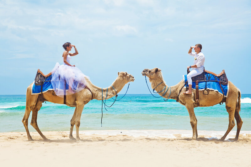 Couple on Camels