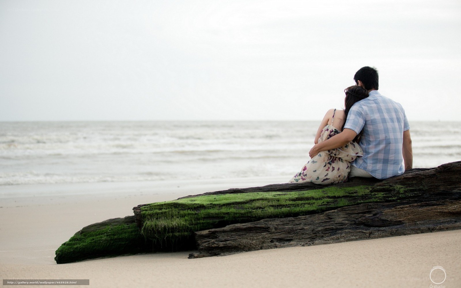 Couple on driftwood at beach
