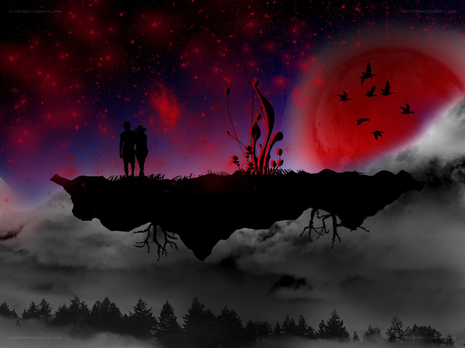 couple on floating island