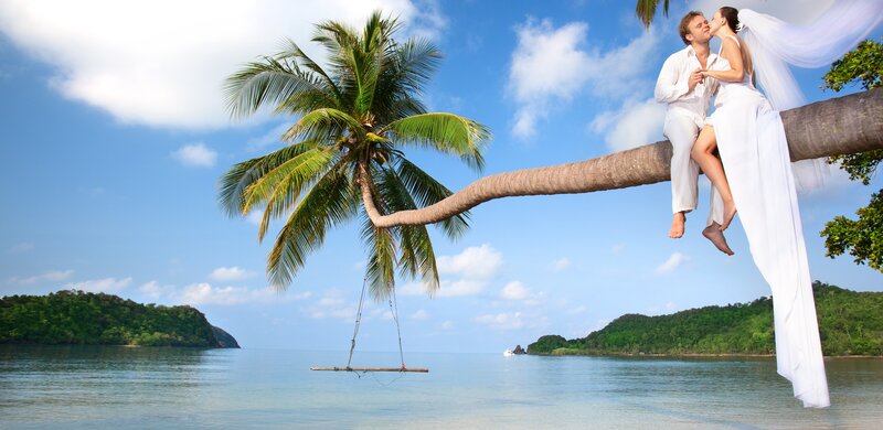 Couple on Palm Tree