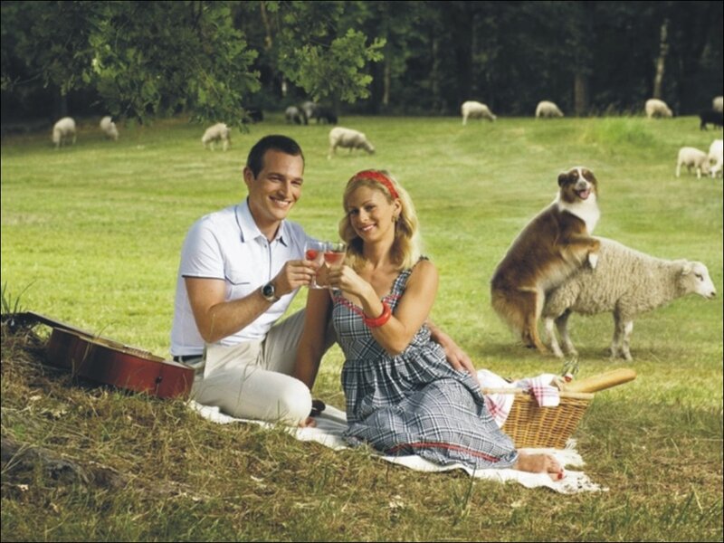 Couple on Picnic