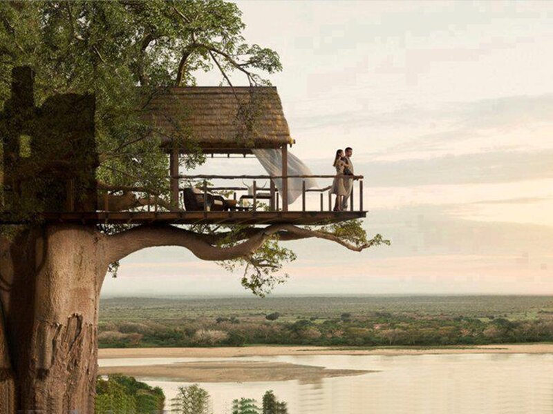 Couple on Treehouse Deck — Green