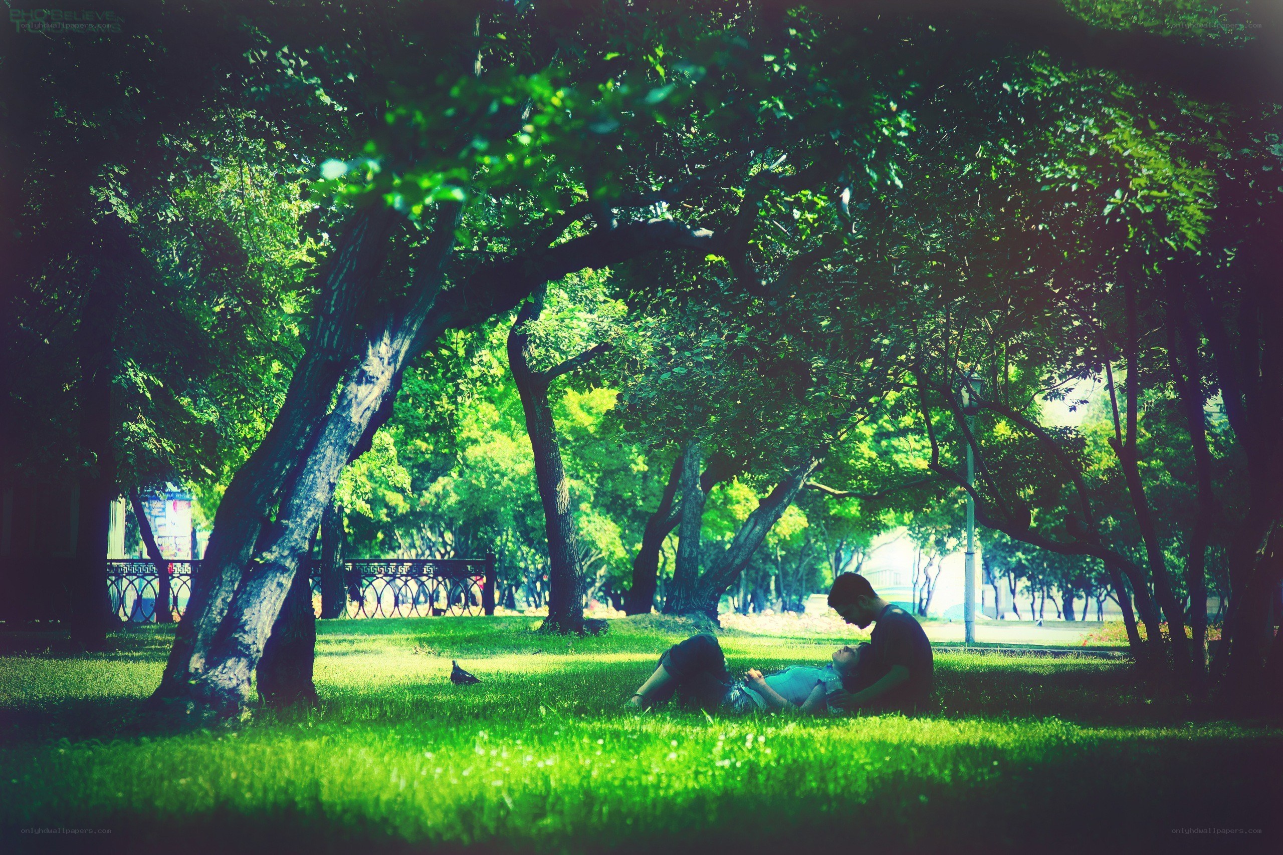 Couple relaxing in park