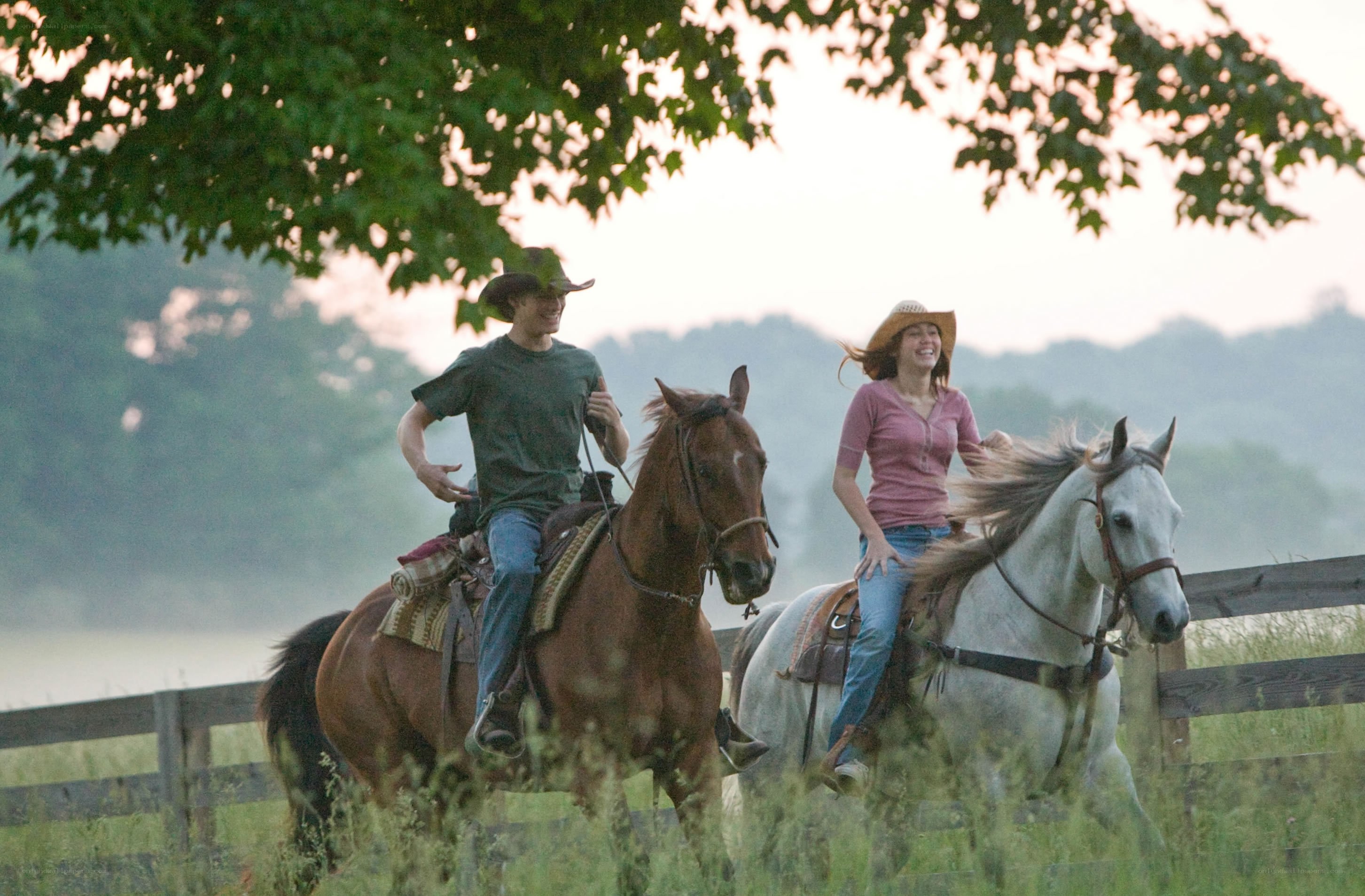 Couple riding horses at sunset