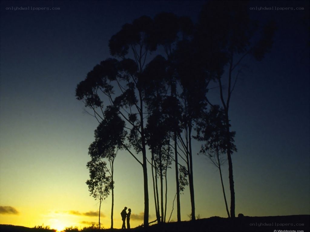 Couple Silhouette at Sunset