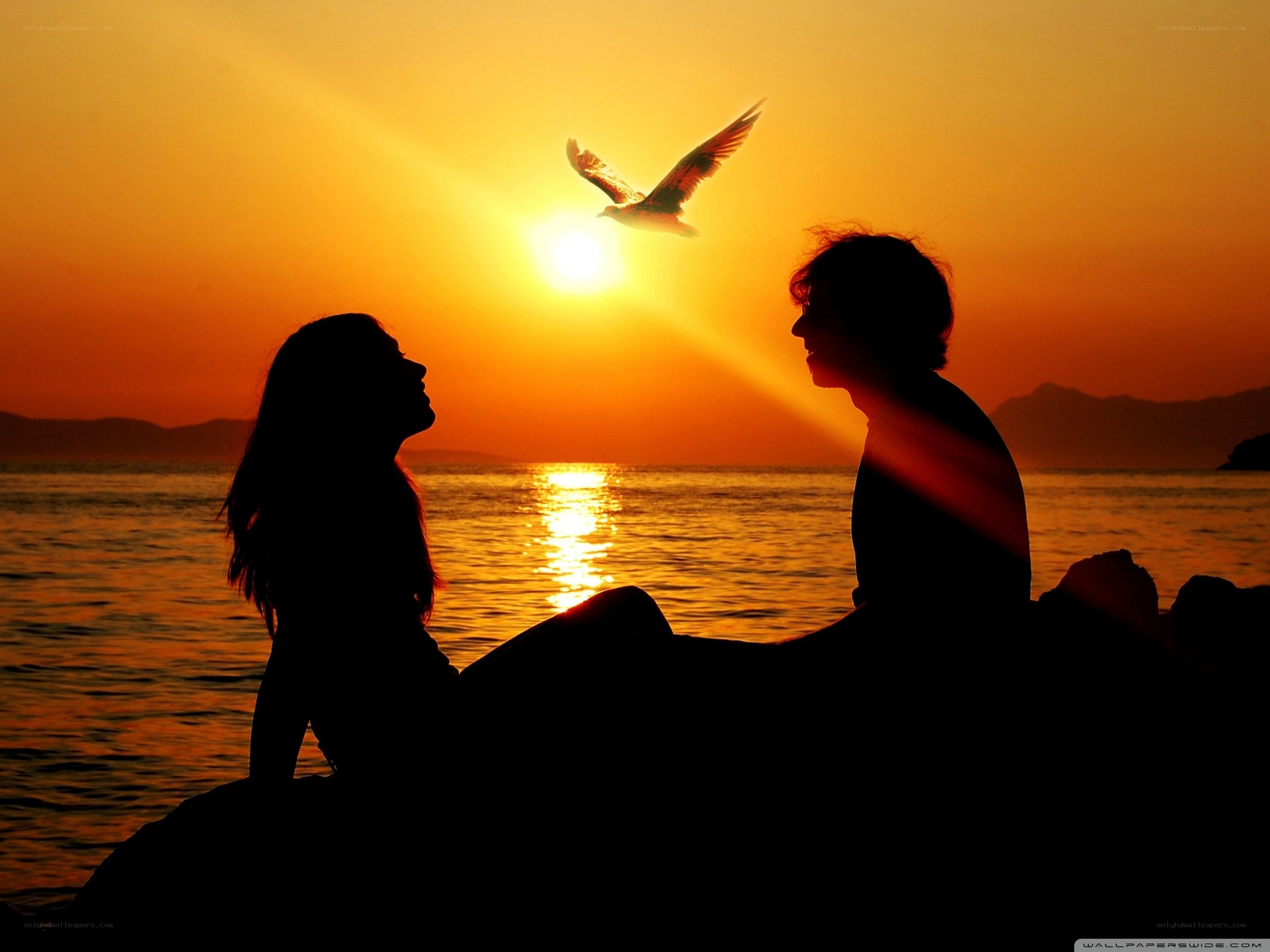 Couple Silhouette at Sunset