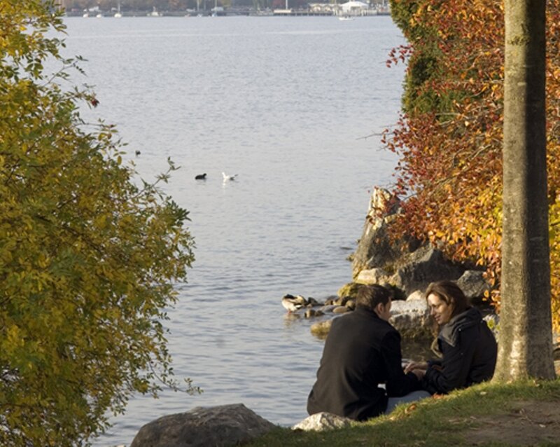 Couple Sitting by Lake — Green