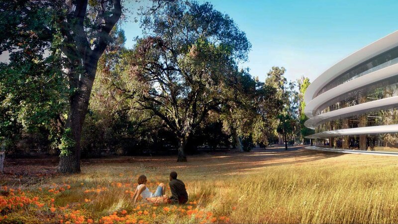 Couple Sitting in Field — Green