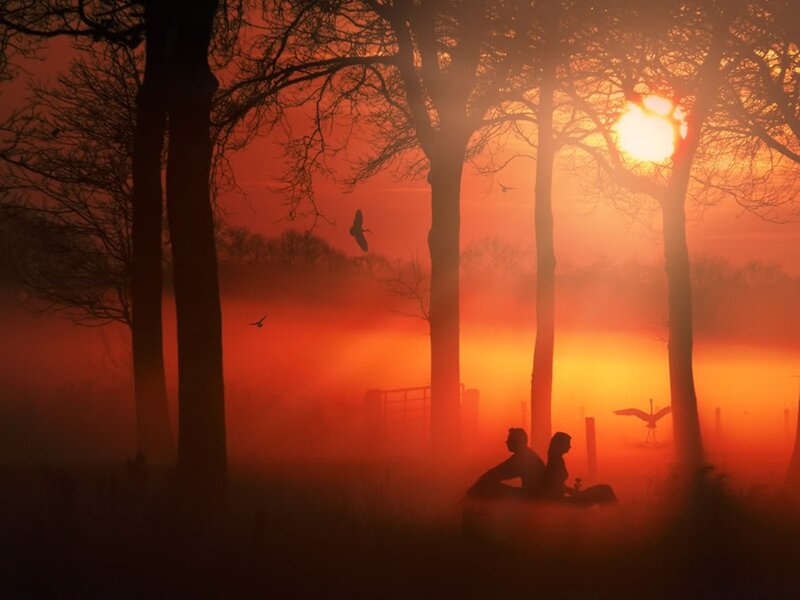 Couple Sitting on Bench