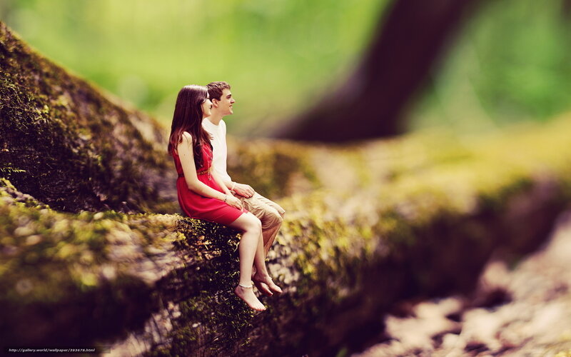 Couple Sitting on Log