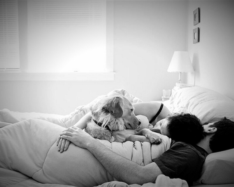 Couple sleeping with dog