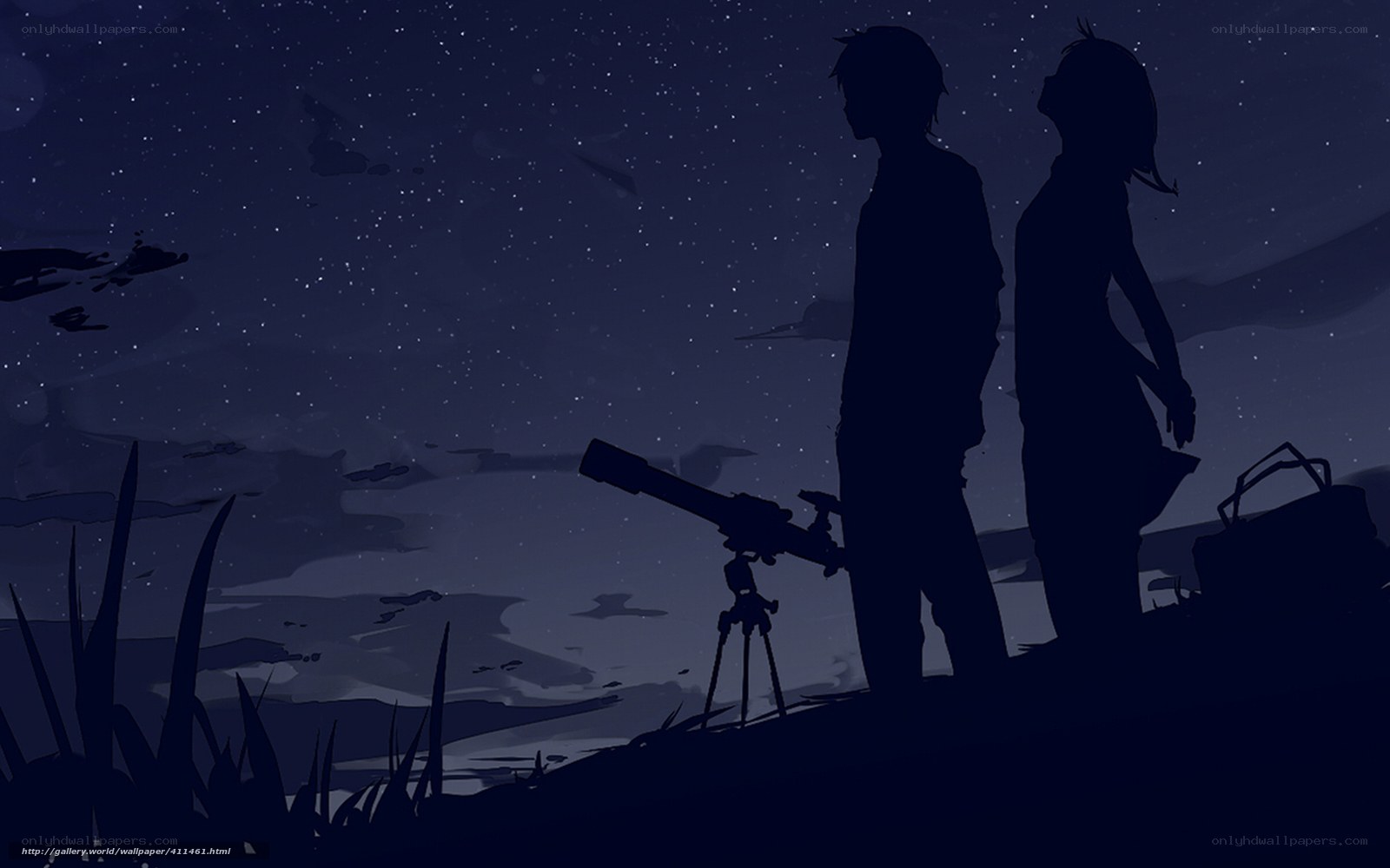 couple stargazing at night