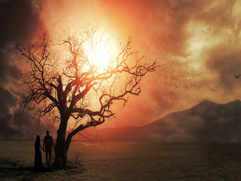 Couple under a bare tree at sunset