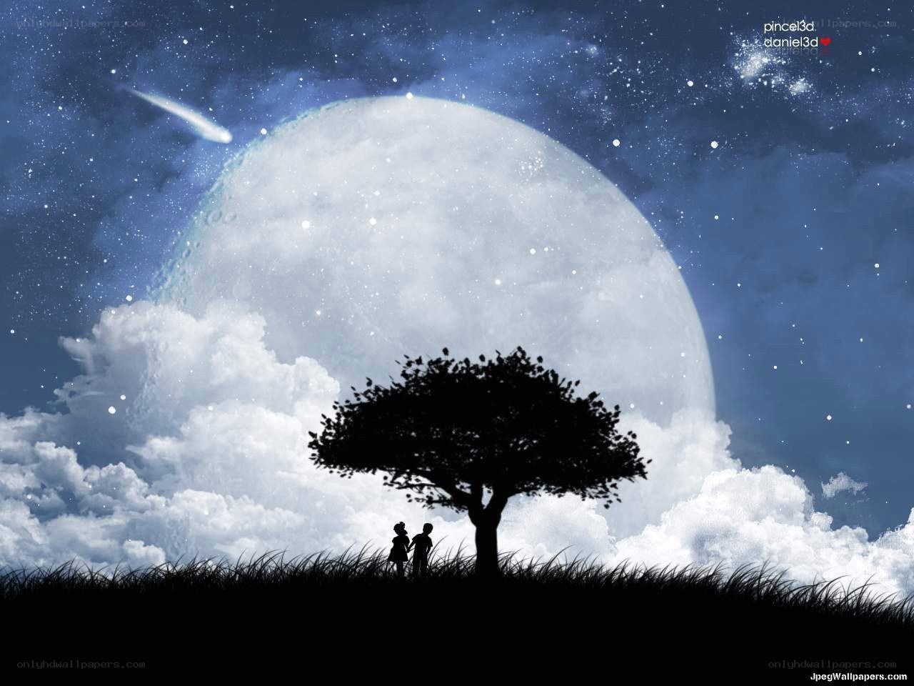 Couple under a moonlit sky