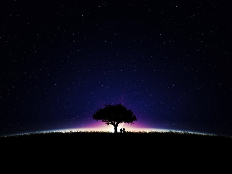 Couple under a starry sky