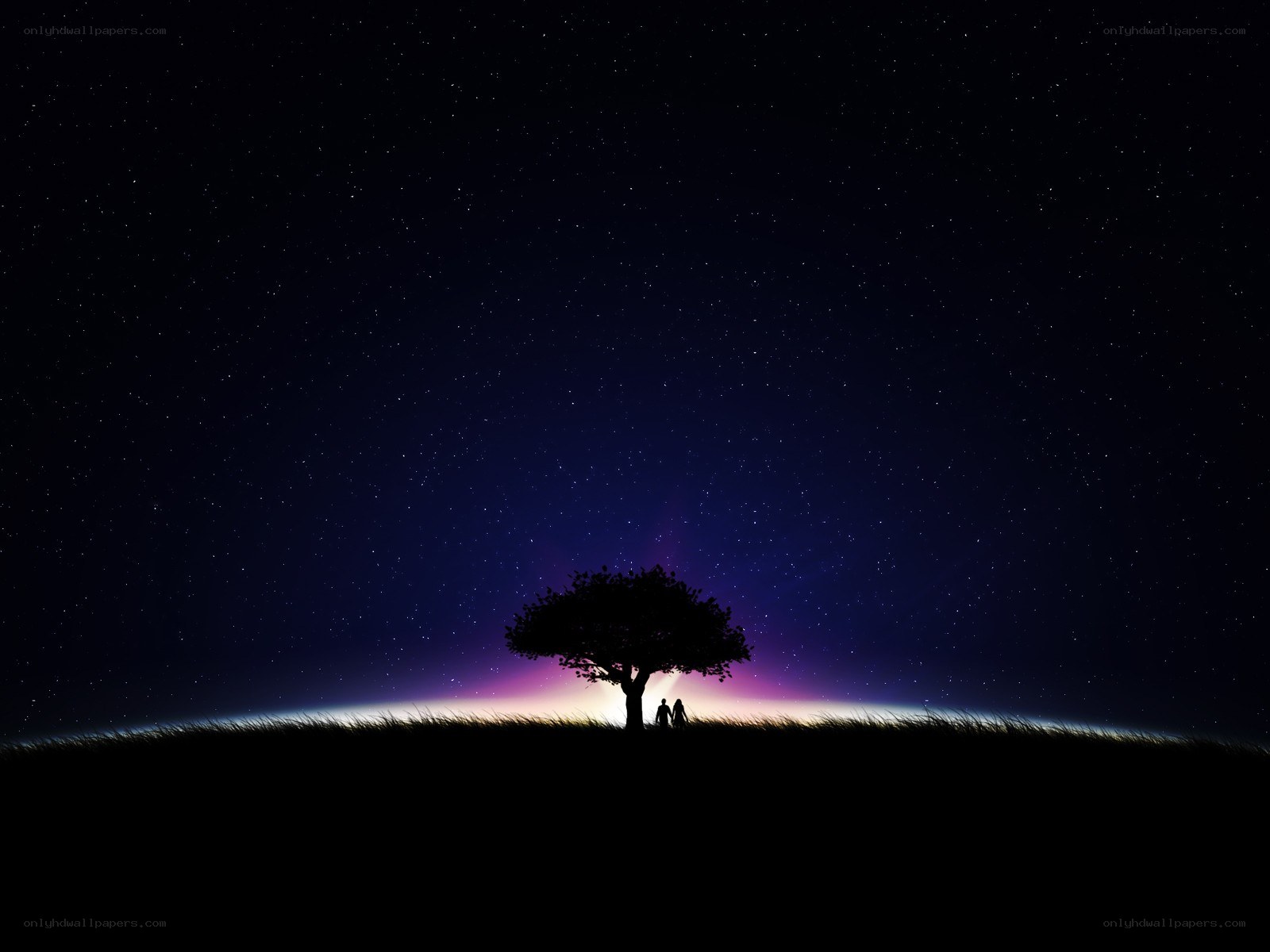 Couple under a starry sky