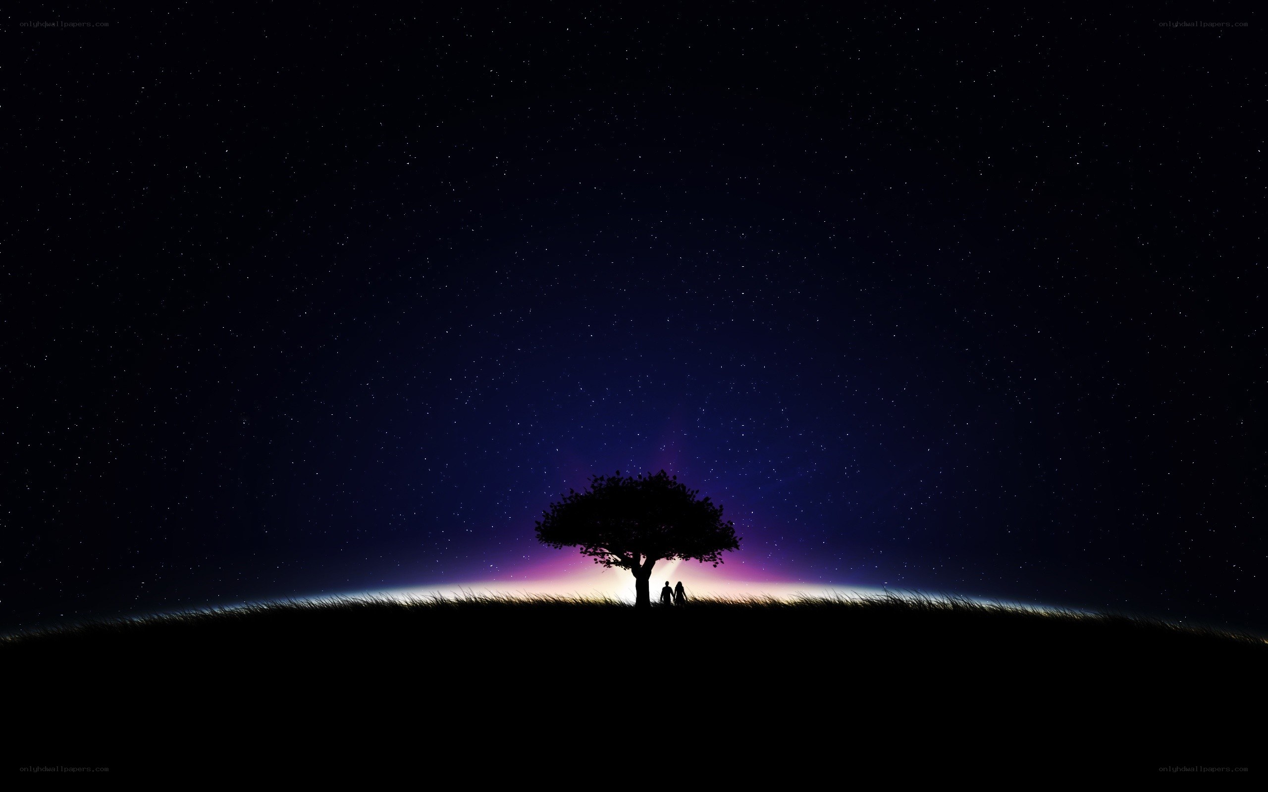 Couple under a starry sky