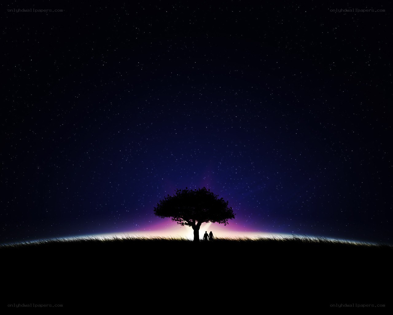 Couple under a starry sky