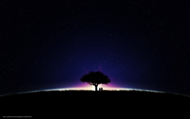 Couple under a starry sky