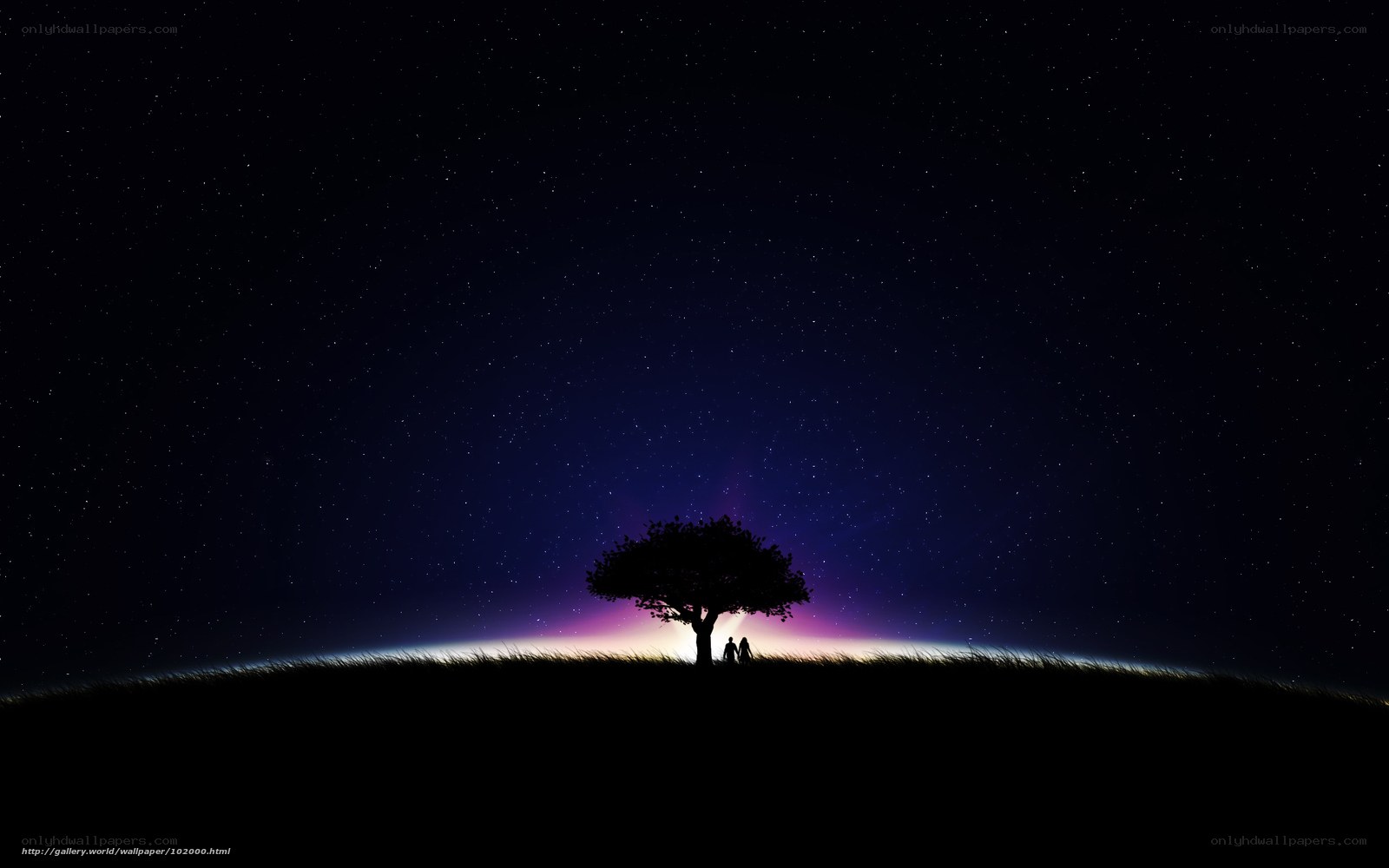 Couple under a starry sky