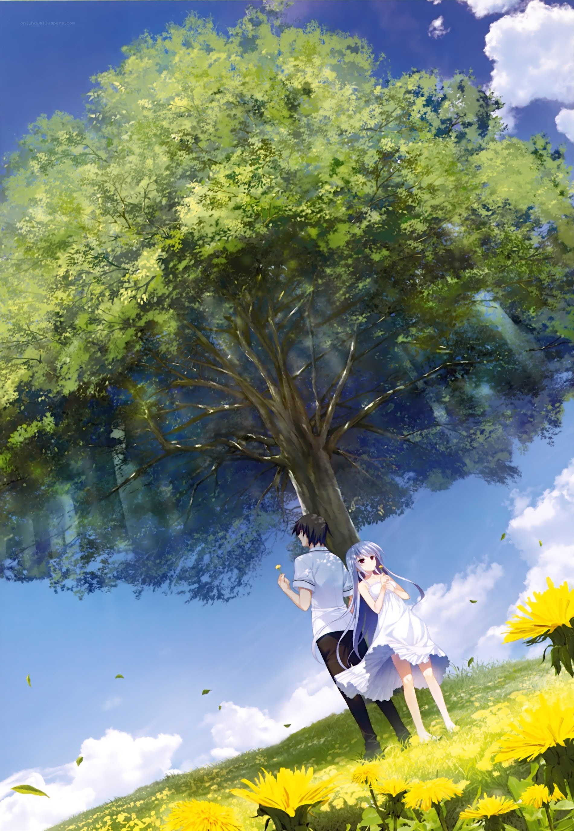 Couple under a tree